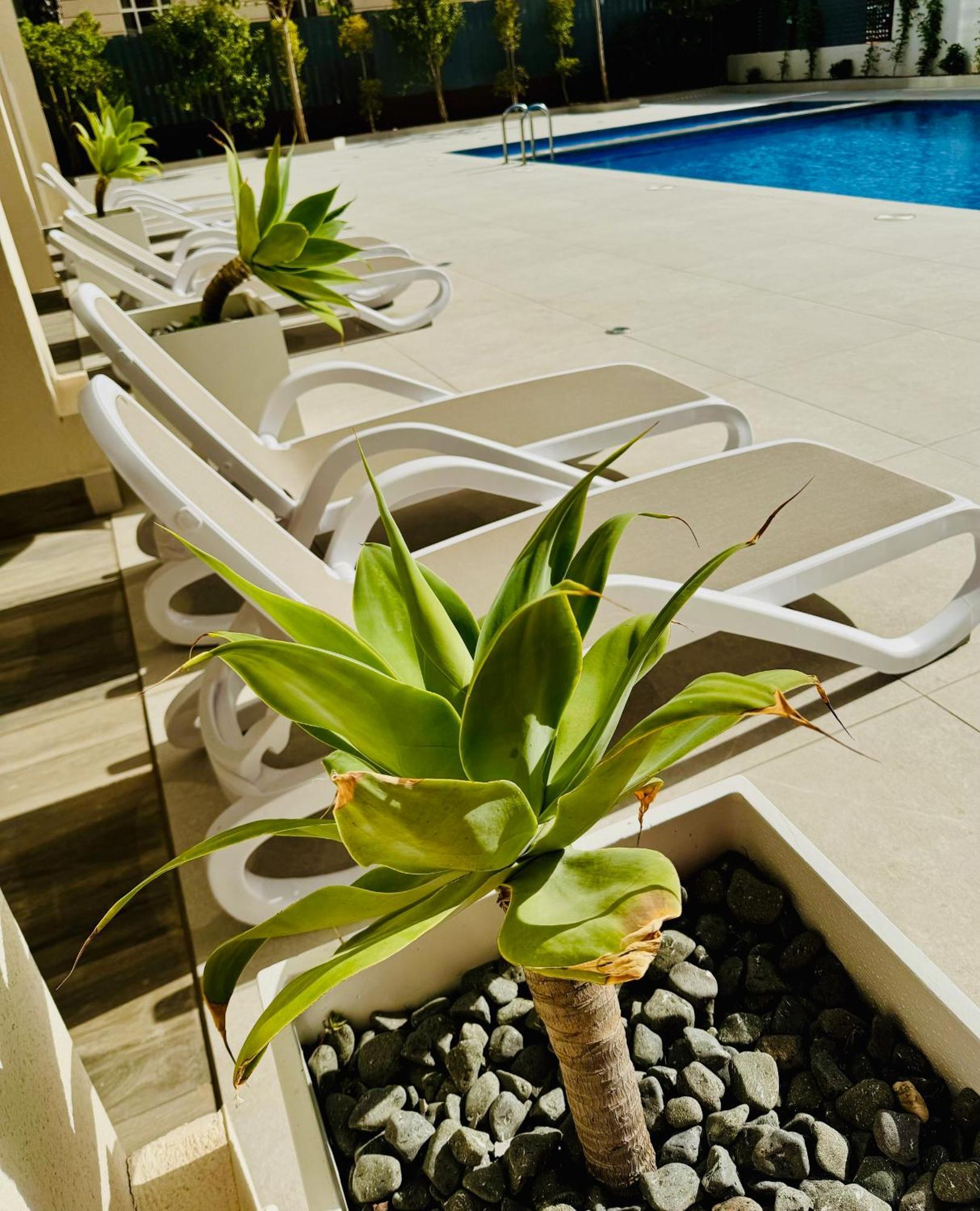 Calpe Beach II - Sea & Pool View Apartment Εξωτερικό φωτογραφία